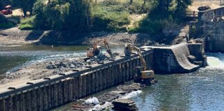 Southern Oregon dam operators face intensifying legal battles after 2023 lamprey killing The 135-year-old Winchester Dam near Roseburg underwent repairs from August to early September 2023 that led to water contamination and the death of more than half-a-million Pacific lamprey. State agencies have fined the dam operators tens of millions of dollars, which the operators are attempting to appeal (Photo by Kirk Blaine/Native Fish Society)