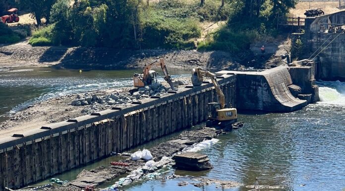 Southern Oregon dam operators face intensifying legal battles after 2023 lamprey killing The 135-year-old Winchester Dam near Roseburg underwent repairs from August to early September 2023 that led to water contamination and the death of more than half-a-million Pacific lamprey. State agencies have fined the dam operators tens of millions of dollars, which the operators are attempting to appeal (Photo by Kirk Blaine/Native Fish Society)