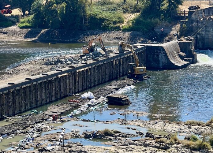 The 135-year-old Winchester Dam near Roseburg underwent repairs from August to early September 2023 that led to water contamination and the death of more than half-a-million Pacific lamprey. State agencies have fined the dam operators tens of millions of dollars, which the operators are attempting to appeal (Photo by Kirk Blaine/Native Fish Society)