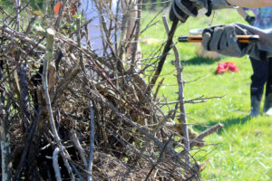 Youth at Parrot Creek in rural Oregon City cut and collect fallen Hawthorn and blackberry branches, both invasive species, to create piles that fire experts will conduct a prescribed burn on at a later date.