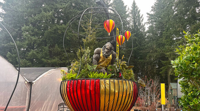 World’s Largest Hanging Garden Basket Unveiled for Spring Equinox The world's largest hanging basket