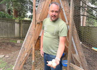 Ducks and many other domestic Fowl now allowed in Tualatin Kevin Mulvaney showcasing eggs laid by his Runner Ducks on March 17, 2026.