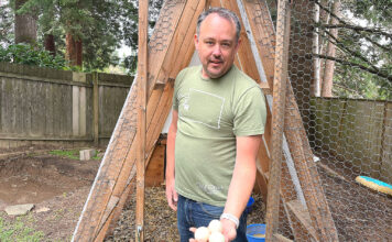 Ducks and many other domestic Fowl now allowed in Tualatin Kevin Mulvaney showcasing eggs laid by his Runner Ducks on March 17, 2026.