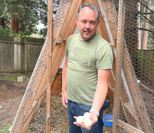 Ducks and many other domestic Fowl now allowed in Tualatin Kevin Mulvaney showcasing eggs laid by his Runner Ducks on March 17, 2026.