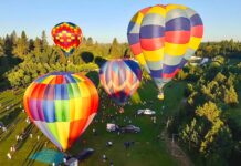 Tigard Festival of Balloons Returns June 26–28 with Theme “Growing Our Legacy” Hot air balloons in the sky at Tigard Festival of Balloons