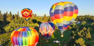 Tigard Festival of Balloons Returns June 26–28 with Theme “Growing Our Legacy” Hot air balloons in the sky at Tigard Festival of Balloons