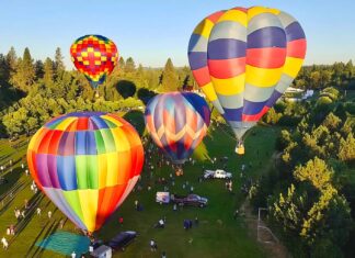 Tigard Festival of Balloons Returns June 26–28 with Theme “Growing Our Legacy” Hot air balloons in the sky at Tigard Festival of Balloons
