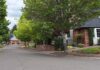 City Replacing Large Sections of Sidewalk this Summer Homeowners in selected project zones will be able to select their new tree from a selection of 40 trees featured in the city’s "adaptive street tree list."