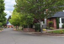 City Replacing Large Sections of Sidewalk this Summer Homeowners in selected project zones will be able to select their new tree from a selection of 40 trees featured in the city’s "adaptive street tree list."