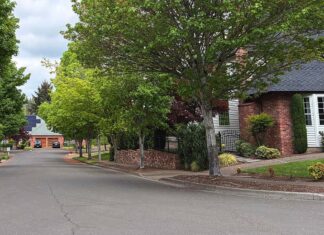 City Replacing Large Sections of Sidewalk this Summer Homeowners in selected project zones will be able to select their new tree from a selection of 40 trees featured in the city’s "adaptive street tree list."
