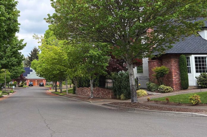 Adaptive-Tree-List-cover Homeowners in selected project zones will be able to select their new tree from a selection of 40 trees featured in the city’s "adaptive street tree list."