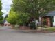 City Replacing Large Sections of Sidewalk this Summer Homeowners in selected project zones will be able to select their new tree from a selection of 40 trees featured in the city’s "adaptive street tree list."