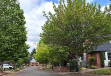 City Replacing Large Sections of Sidewalk this Summer Homeowners in selected project zones will be able to select their new tree from a selection of 40 trees featured in the city’s "adaptive street tree list."