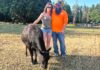 ‘Like nothing I have experienced’: Lightning Strike kills 10 cows at local Farm Jensen Mini Farm owners, Jeff and Lory Jensen, posed with their cow Vader on July 15, less than a month after a lightning strike killed ten of their cows.