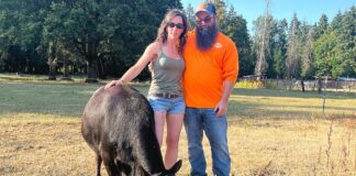 ‘Like nothing I have experienced’: Lightning Strike kills 10 cows at local Farm Jensen Mini Farm owners, Jeff and Lory Jensen, posed with their cow Vader on July 15, less than a month after a lightning strike killed ten of their cows.