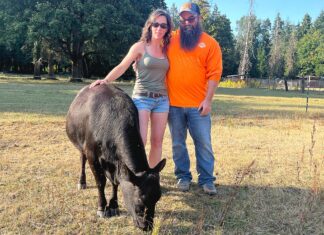 ‘Like nothing I have experienced’: Lightning Strike kills 10 cows at local Farm Jensen Mini Farm owners, Jeff and Lory Jensen, posed with their cow Vader on July 15, less than a month after a lightning strike killed ten of their cows.