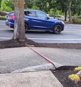 The City of Tualatin plans to repair about 150 ADA-noncompliant sidewalk defects like this tree root uplift this summer, tackling roughly half of the 300+ hazards identified in a recent citywide analysis.