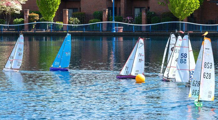 The Tualatin Cup Regatta Sails into Tualatin Lake at the Commons on Sept. 19 Tualatin Cup Regatta