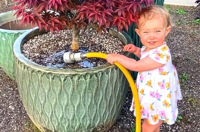 A child watering a plant.