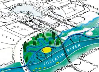 New Riverfront Park and Downtown Revitalization Align in Tualatin A graphic drawn up by Berger Partnership depicts the Riverfront Park project and the Down Revitalization project bleeding into each other as the projects combine forces for a new community engagement phase starting in October.